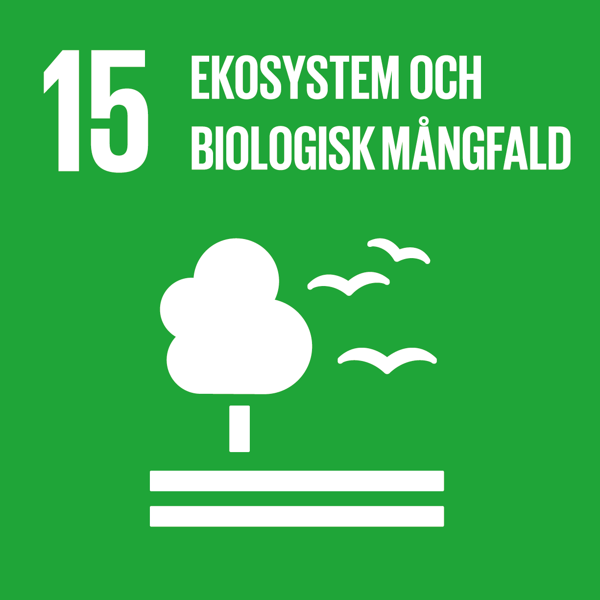 Globala målen - mål nummer 15: Ekosystem och biologisk mångfald